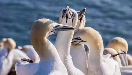 爱游戏电竞-德甲多支劲旅补强中场，争夺冠军最后冲刺，德甲多支劲旅补强中场,争夺冠军最后冲刺了吗