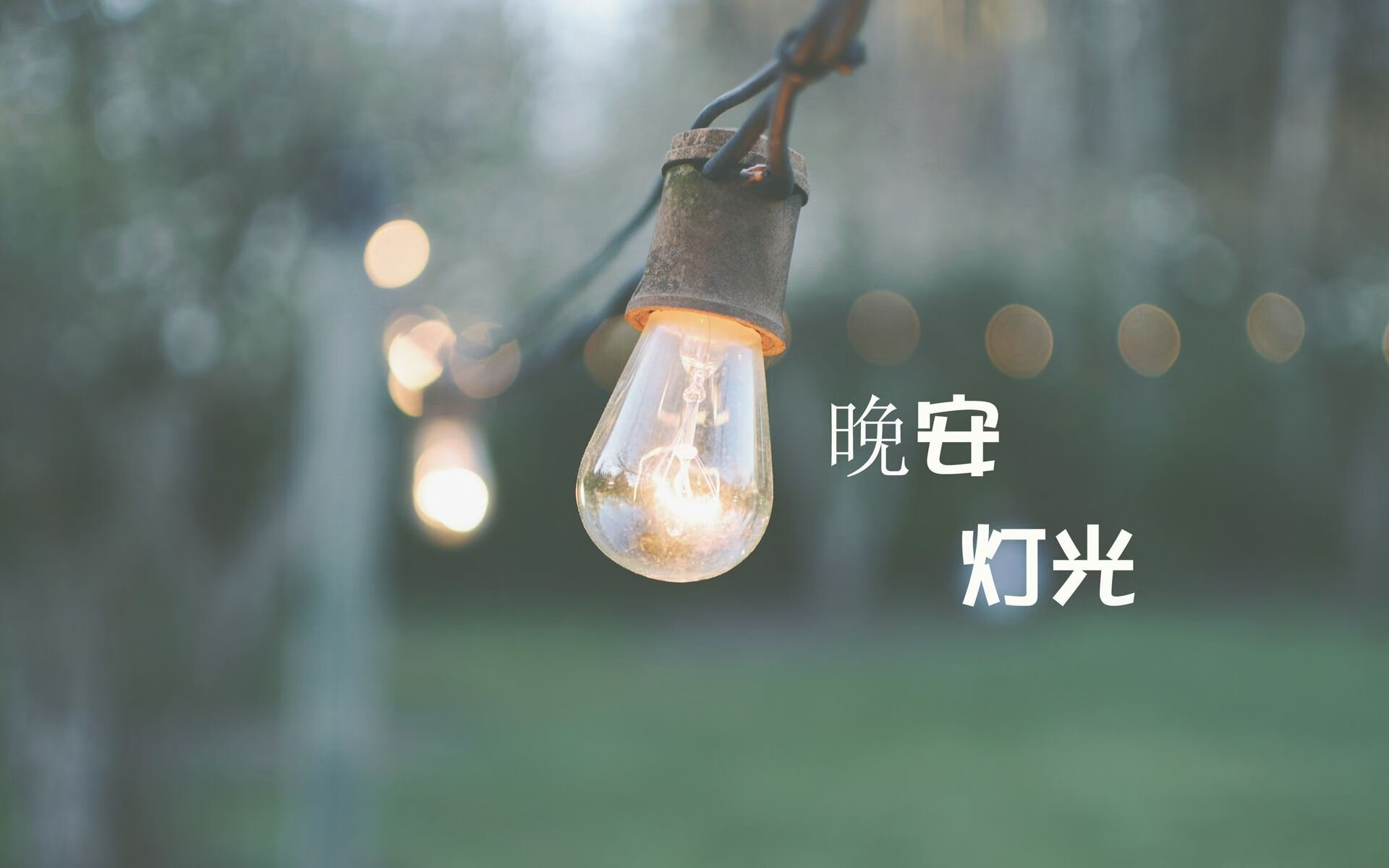 佩纳罗尔射手赛季最佳表现，佩纳罗尔vs水晶竞技