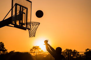 扣篮最多的球员谁是飞天巨星，nba扣篮最多的球员