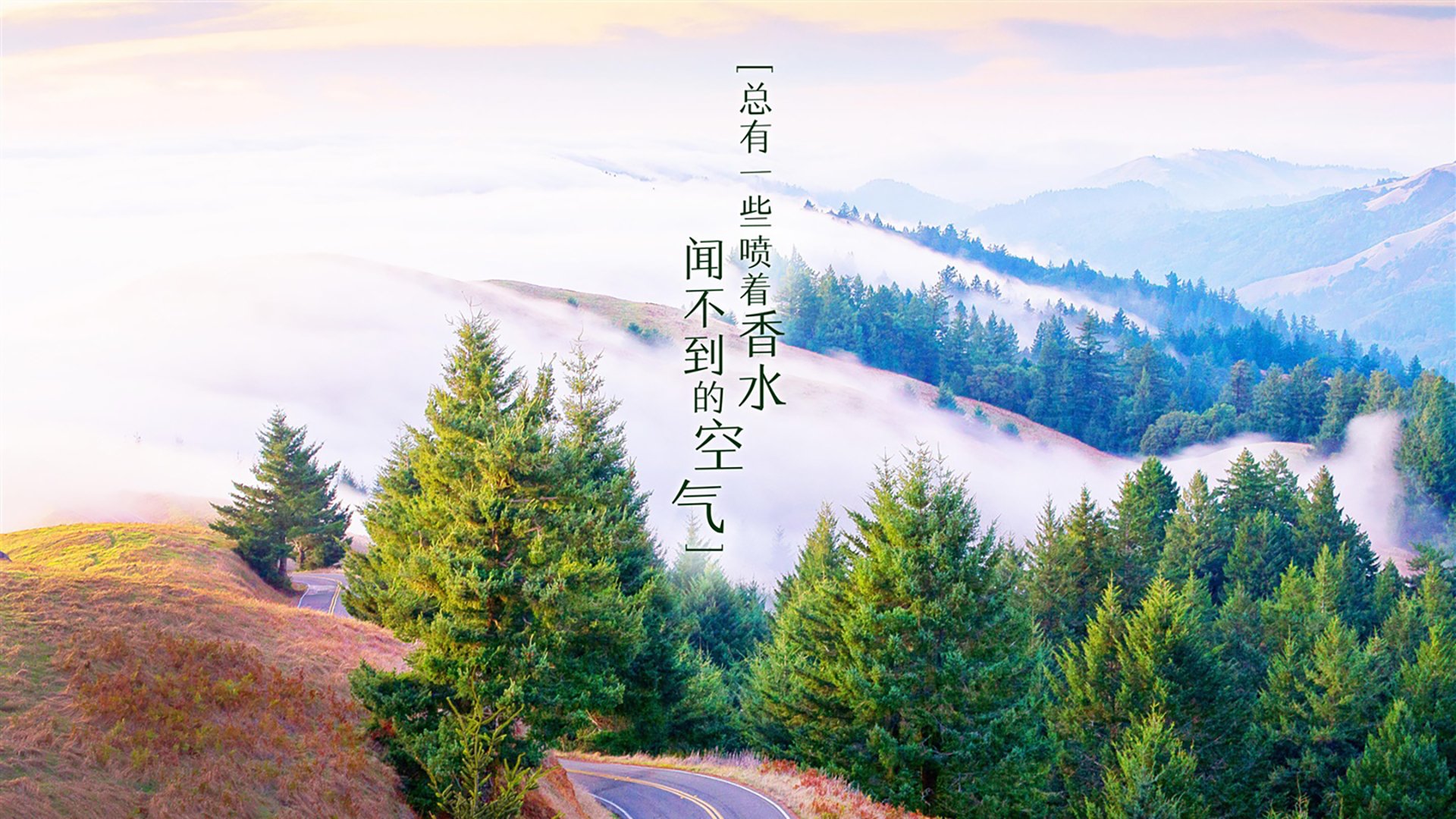 凯瑟琳·伯科夫赛后分享备赛心得，斯皮尔伯格 凯瑟琳